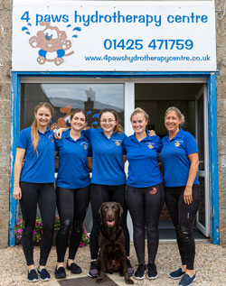 The Team